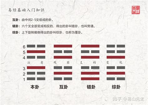 老陽 老陰|本卦與變卦，老陰、老陽與動爻，學周易起卦前必須掌。